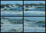 (04) jetty montage (day 3).jpg    (1000x720)    304 KB                              click to see enlarged picture